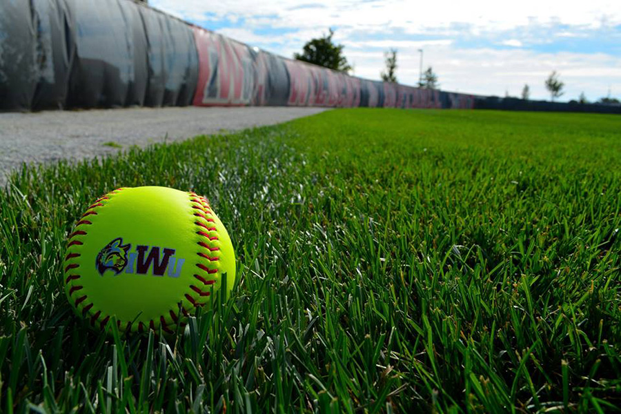 Softball Image